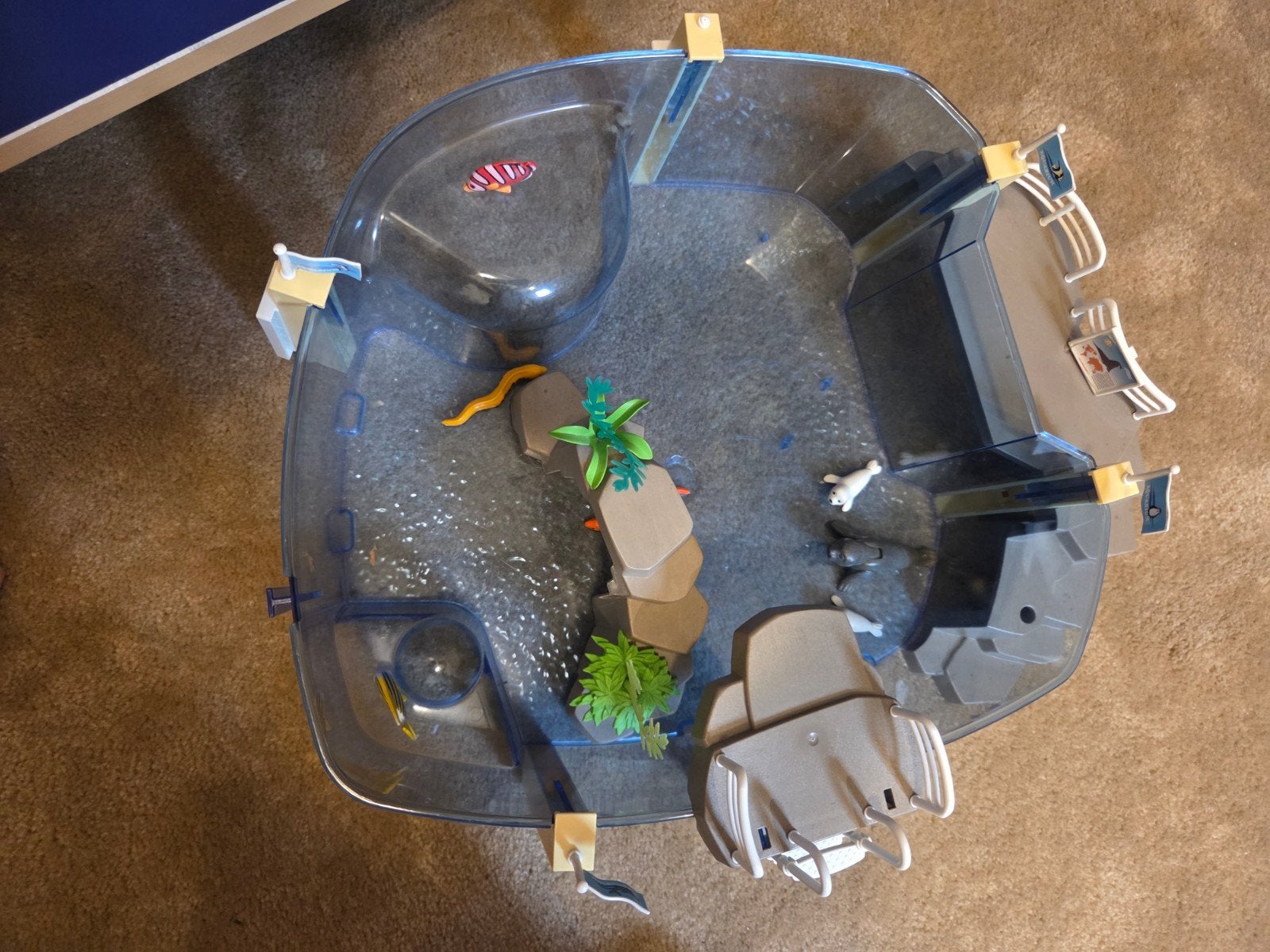 Playmobil Aquarium / Zeehondenbassin met accessoires, Ophalen, Gebruikt, Jongen of Meisje
