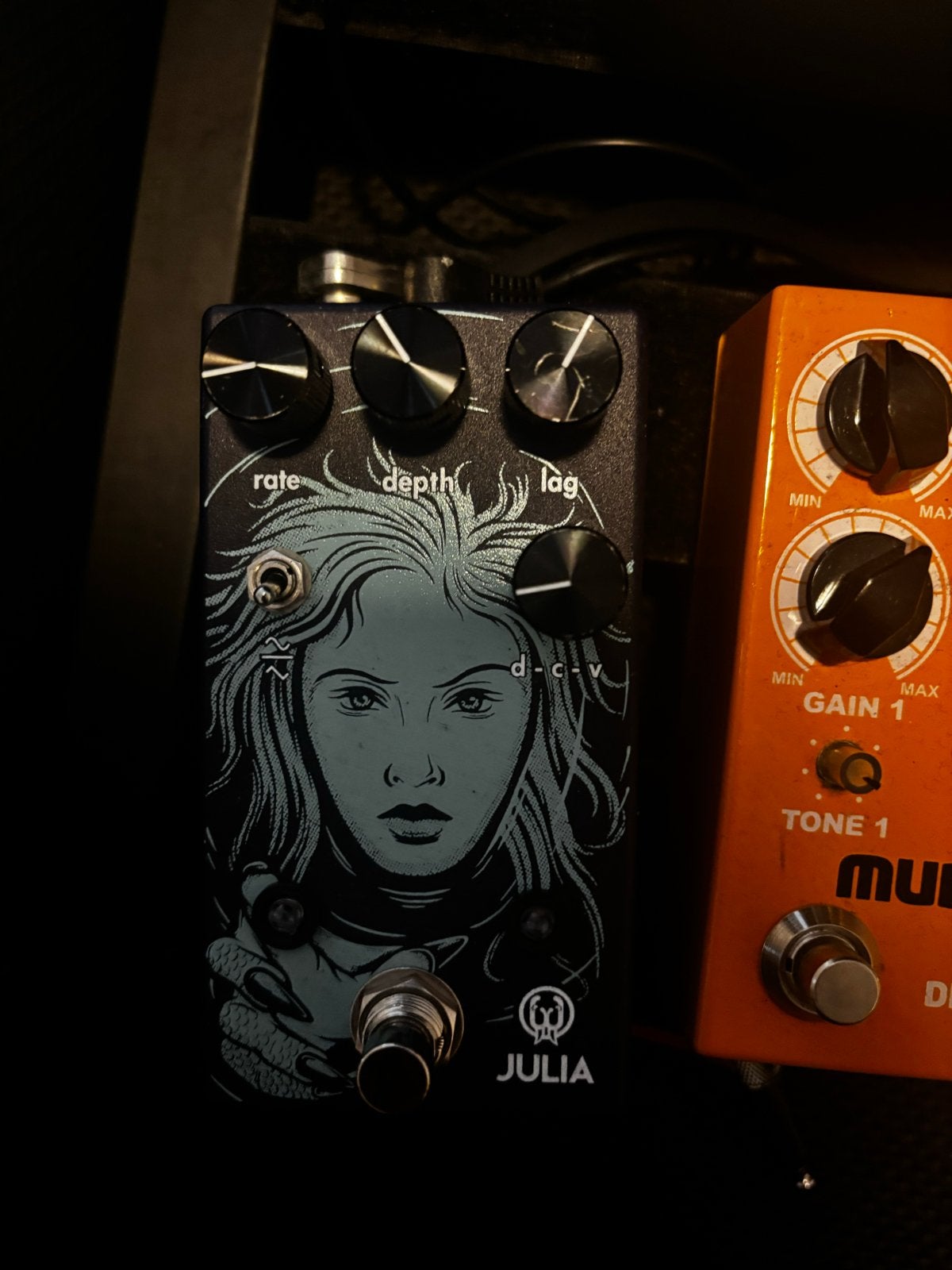 Walrus Audio Julia Chorus/Vibrato Pedaal, Ophalen of Verzenden, Zo goed als nieuw, Chorus