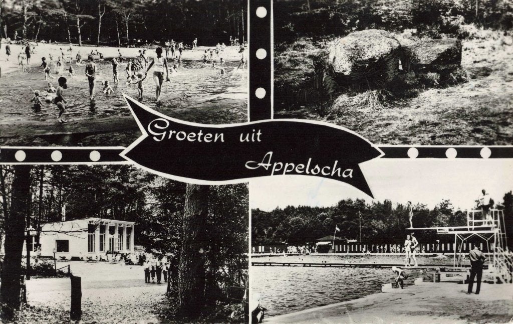Appelscha Zwembad Theehuis De Bosberg L3103, Ophalen, 1960 tot 1980, Gelopen, Friesland