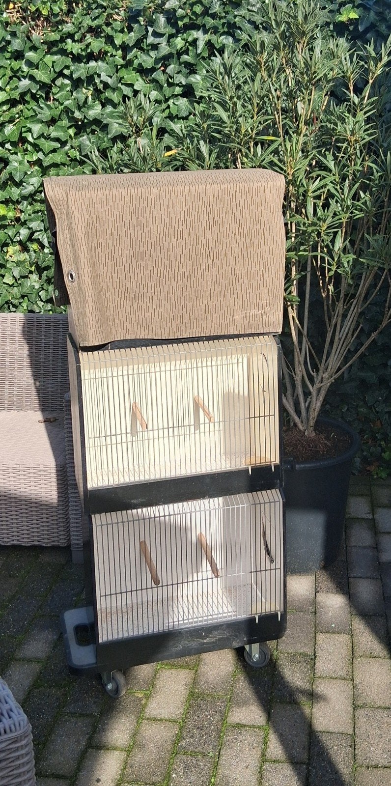 tt grote kistkooien, Ophalen, Gebruikt, Hout, Vogelkooi