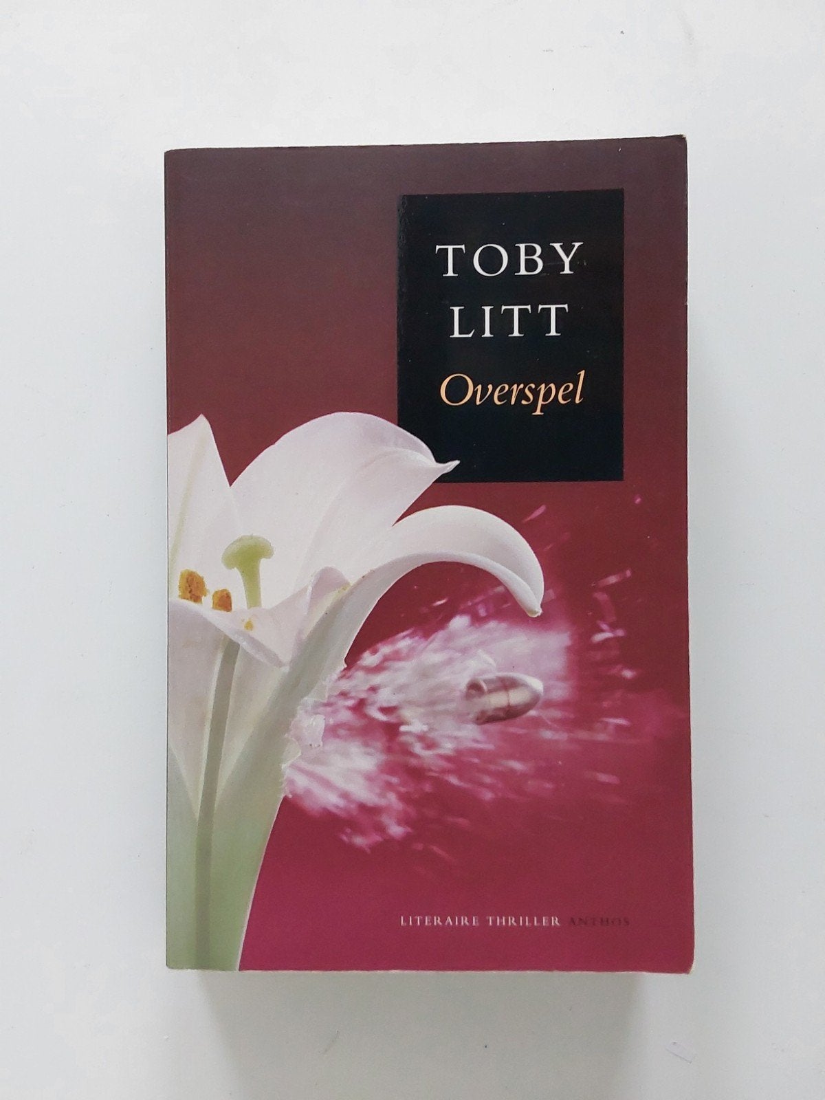 Toby Litt : Overspel, Gelezen, Ophalen of Verzenden, Europa overig, Toby Litt