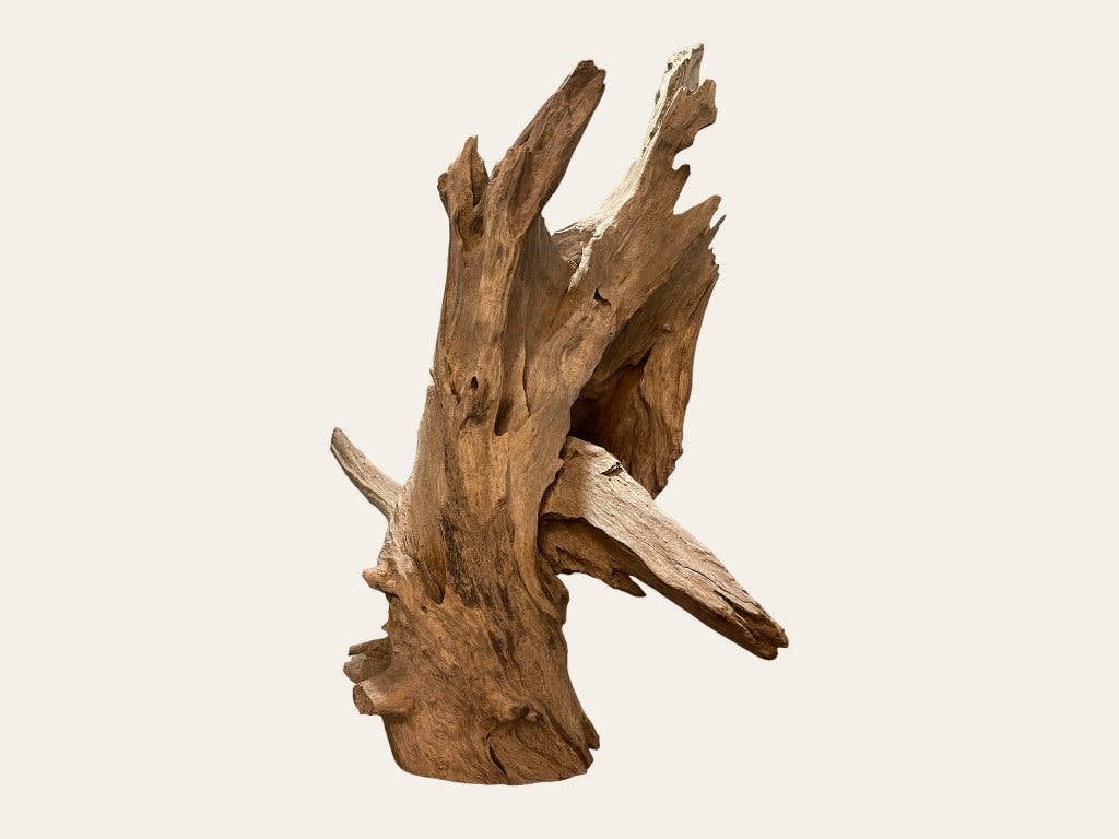 Ramon Monsanto Desert Flower – Hout | Ramon Monsanto, Ophalen, Overige onderwerpen, Houtsnijwerk, 50 - 100 cm