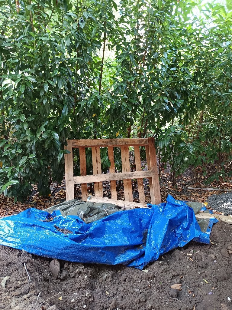 Gratis pallets, Ophalen, Overige houtsoorten, Minder dan 200 cm, Pallet