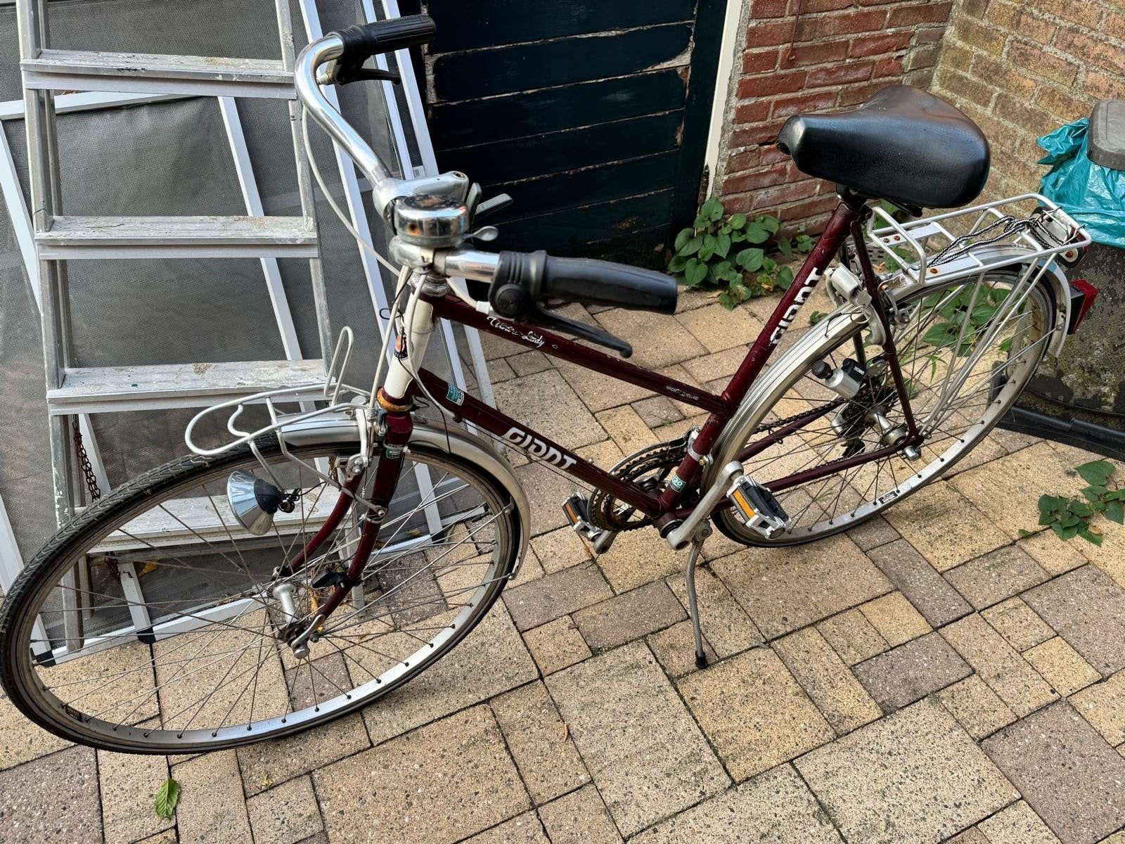 2 vintage fietsen heren en dames Gaint
heren framemaat 59
da, 55 tot 59 cm, Ophalen of Verzenden