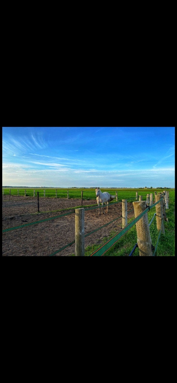 Pensionstalling Groote Keeten, Dieren en Toebehoren, Stalling, 1 paard of pony