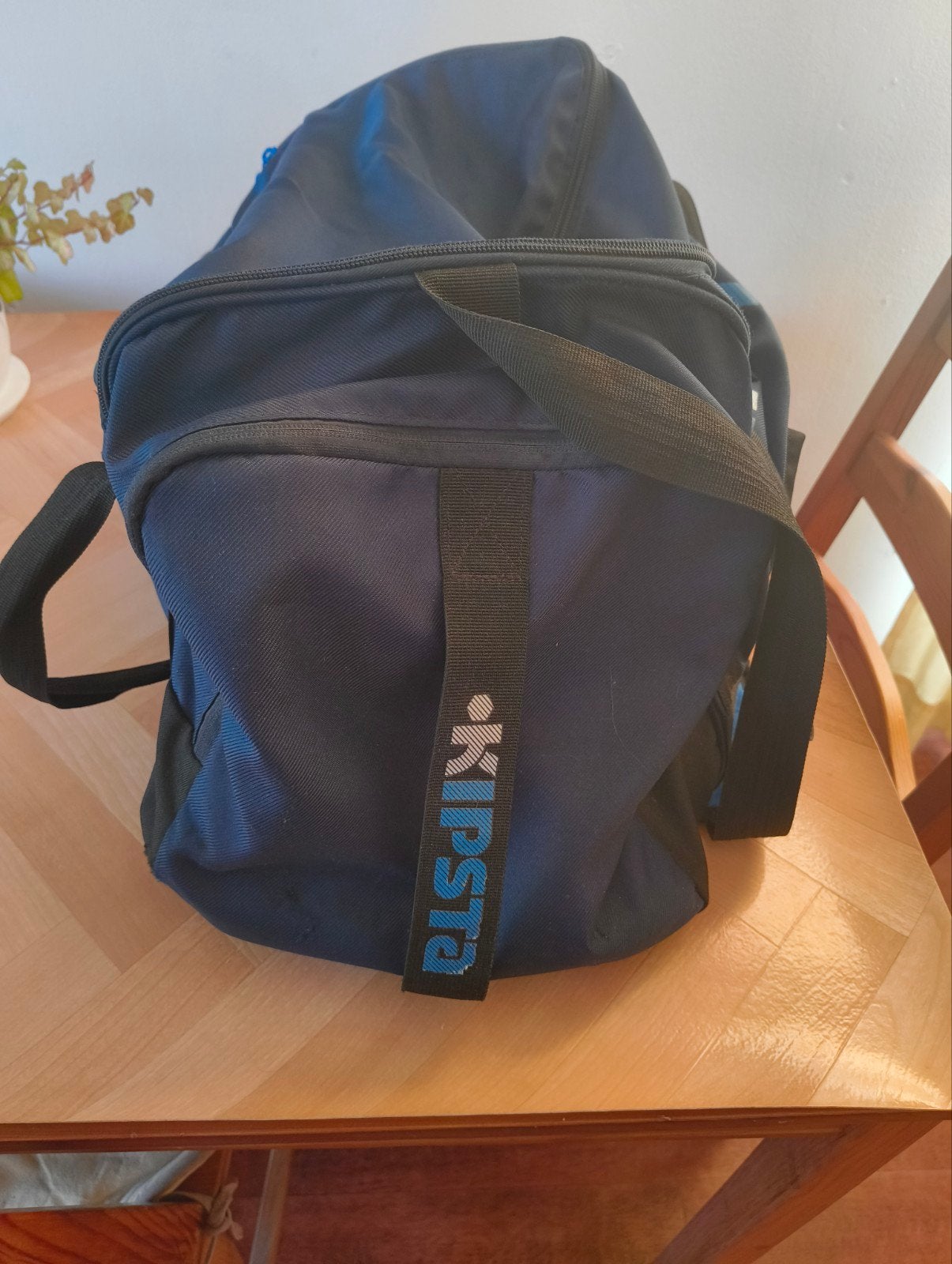 grote sporttas, Sieraden, Tassen en Uiterlijk, Tassen | Reistassen en Weekendtassen, Ophalen of Verzenden, Zo goed als nieuw, Blauw