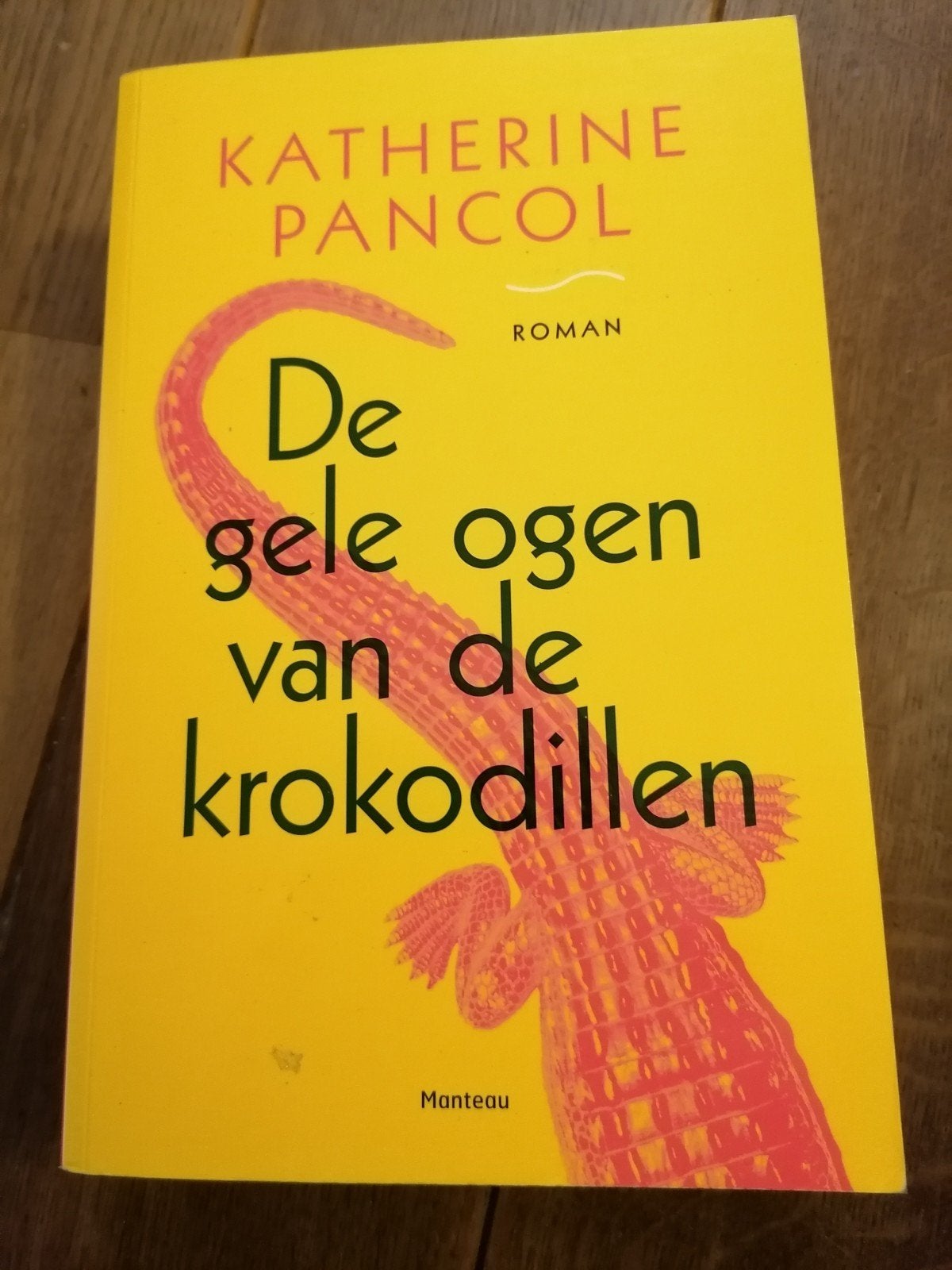 De gele ogen van de krokodillen - Katherine Pancol, Boeken, Ophalen of Verzenden, Gelezen, Katherine Pancol, Europa overig