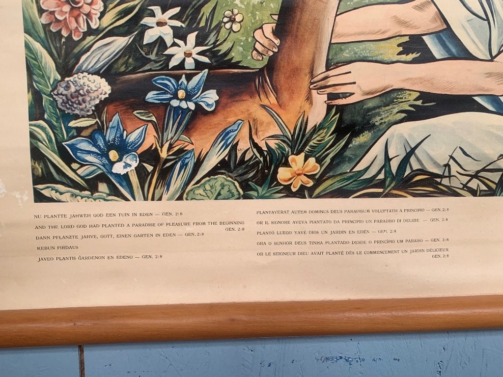 Oude schoolplaat paradijs Eden Adam en Eva - vintage poster, Ophalen of Verzenden, Geschiedenis