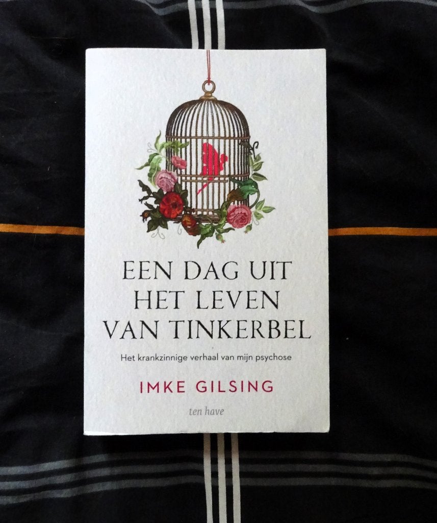 Een dag uit het leven van Tinkerbel - Imke Gilsing, Verzenden, Gelezen