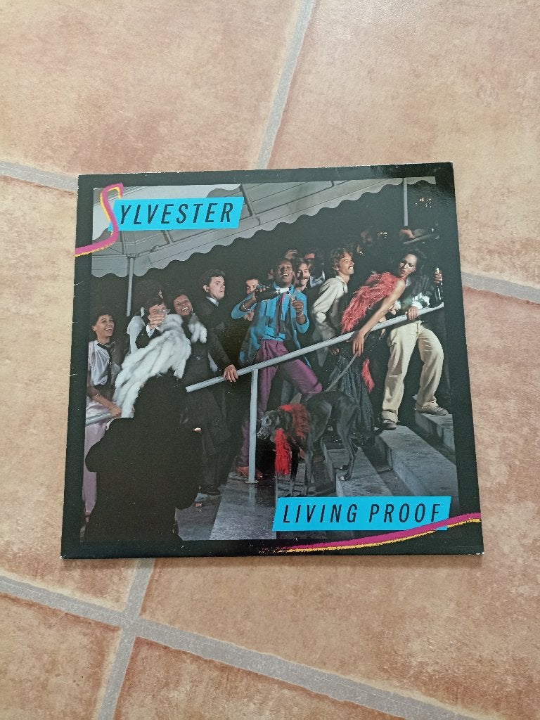 LP Sylvester - LIving proof, Cd's en Dvd's, Vinyl | R&B en Soul, Ophalen of Verzenden, Gebruikt, LP