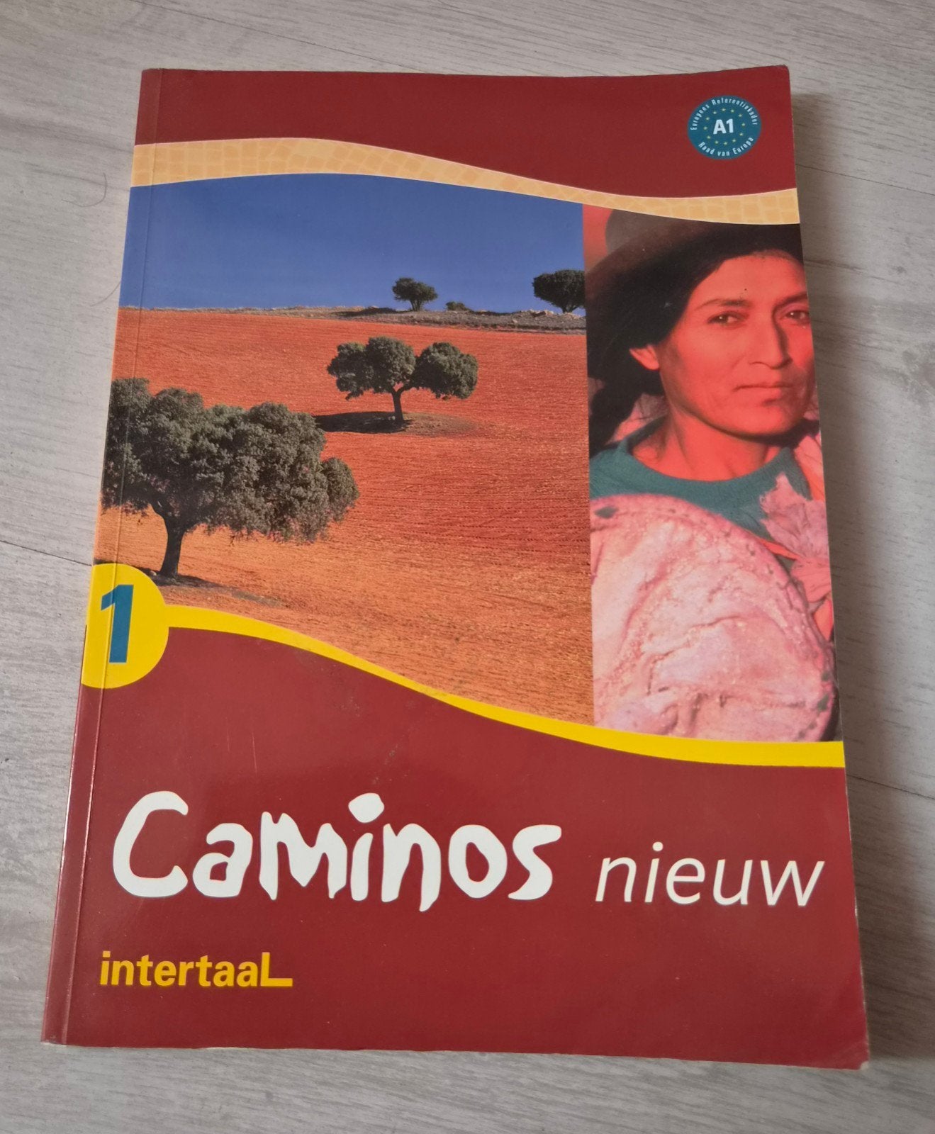 Camino's Nieuw 1 - Spaans leerboek A1 Intertaal, Ophalen of Verzenden, Gelezen, Onbekend