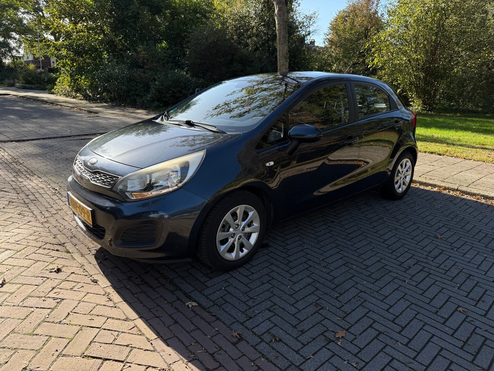 Kia Rio 1.2 I 5DRS 2013 Blauw, Voorwielaandrijving, 450 kg, 4 cilinders, Blauw