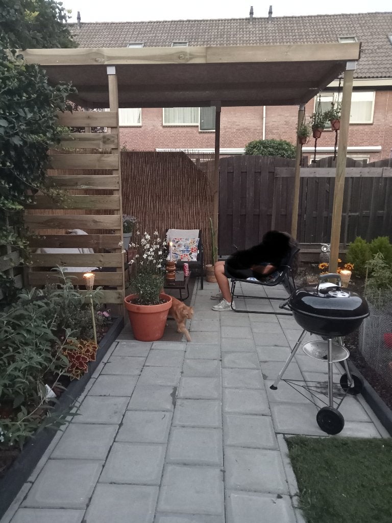 Pergola/overkapping, Tuin en Terras, Ophalen, Zo goed als nieuw, Overige typen