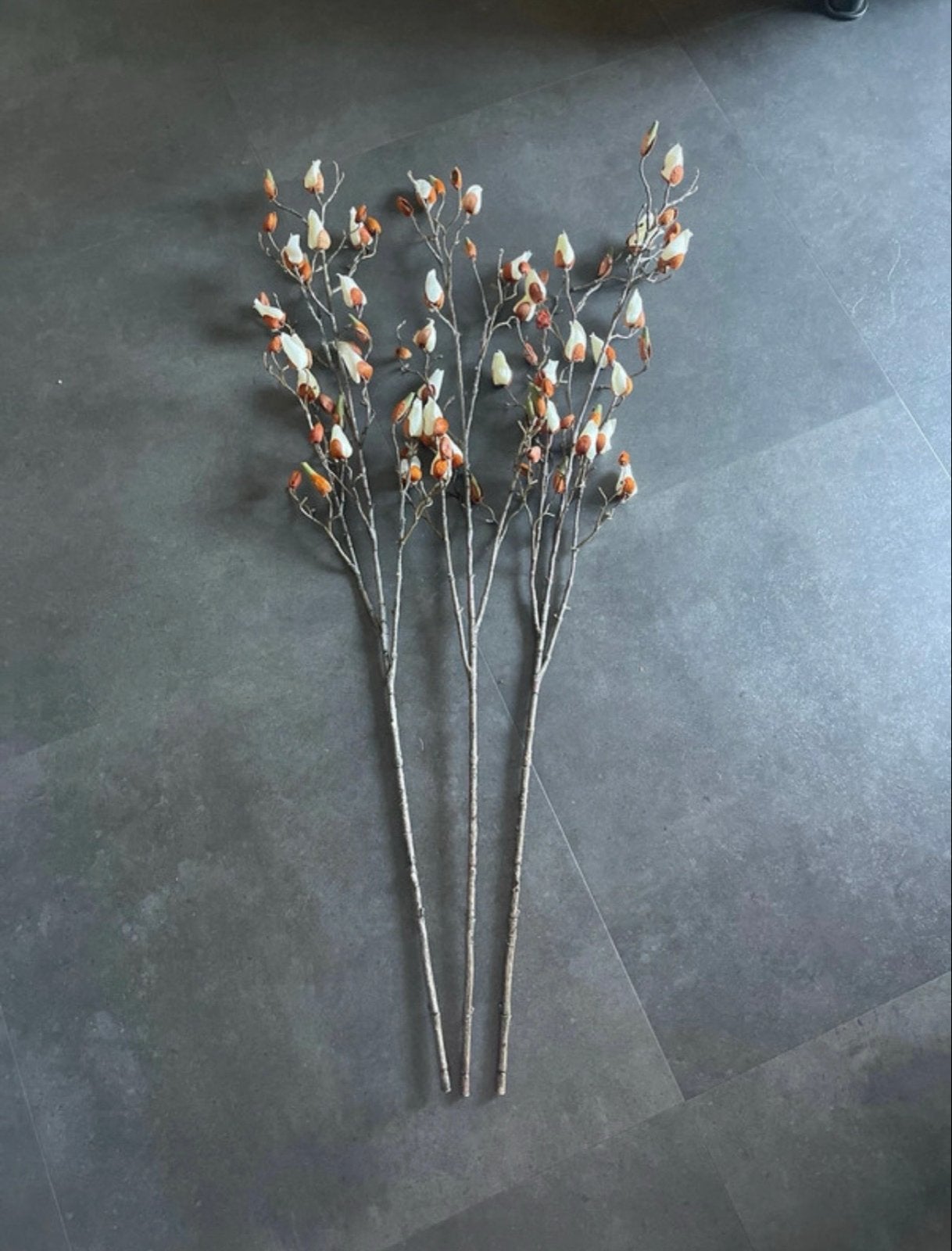 Decoratieve magnoliatakken met knoppen, Meerkleurig, Ophalen of Verzenden, Natuurlijk materiaal, Landelijk