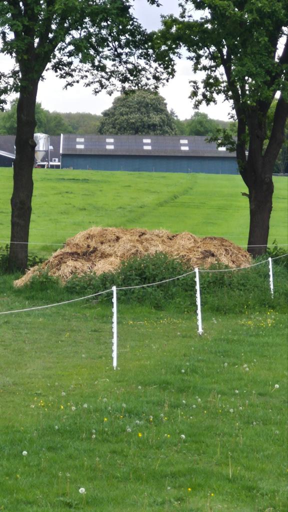 Paardenmest voor tuin, Ophalen, Mest