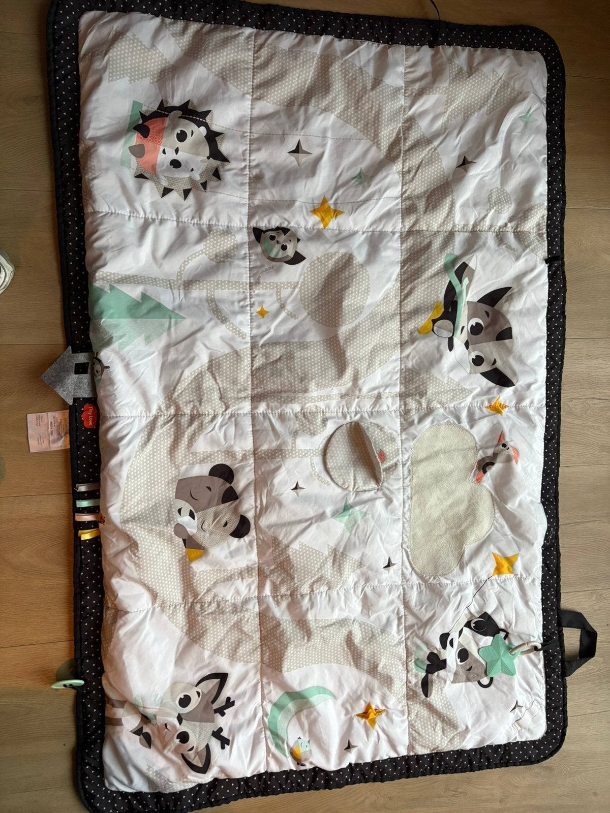 Speelkleed van Tiny Love, Ophalen, Zo goed als nieuw