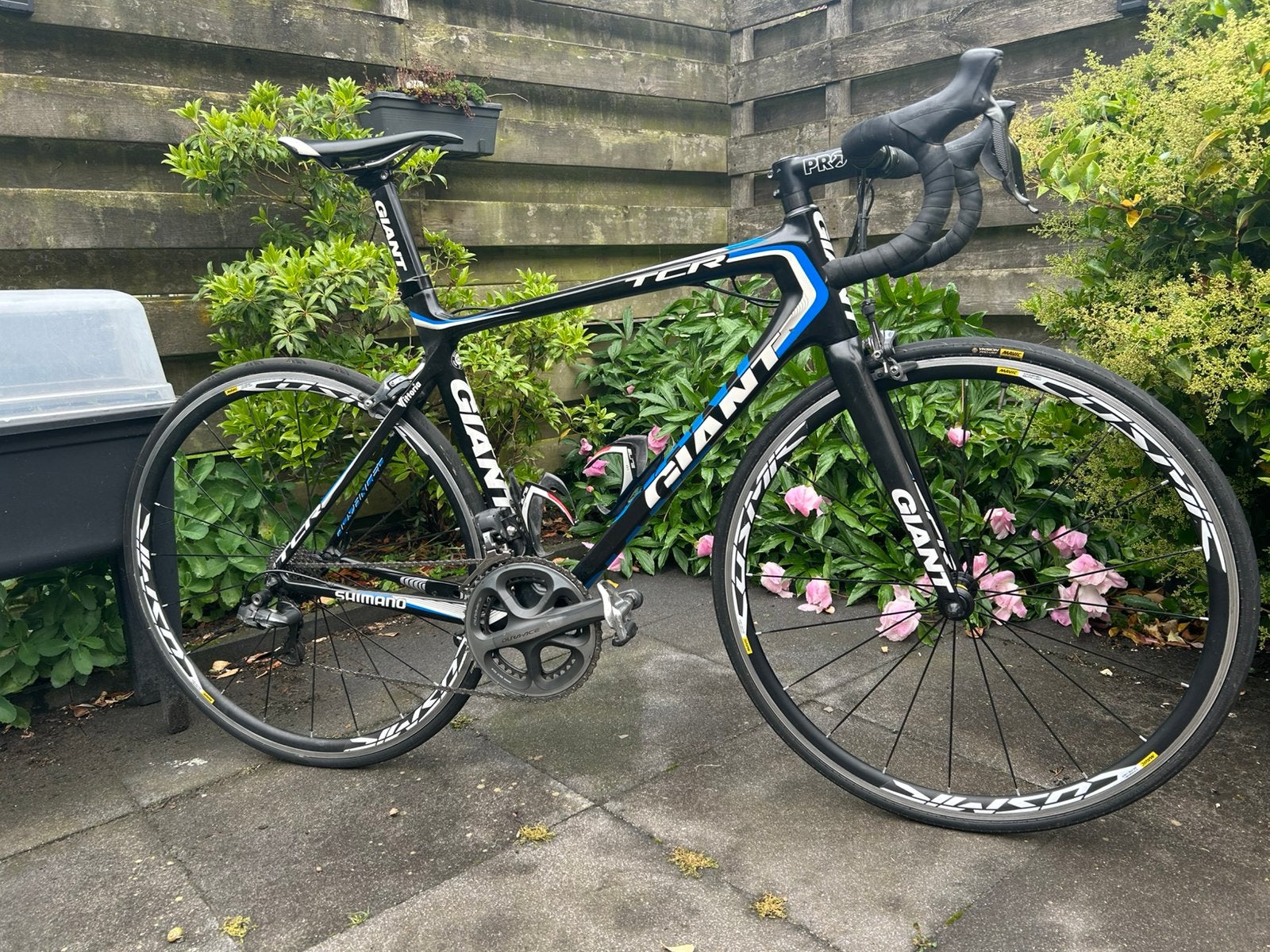 Giant TCR & Elite Suite T, Ophalen, 28 inch, Gebruikt, Carbon