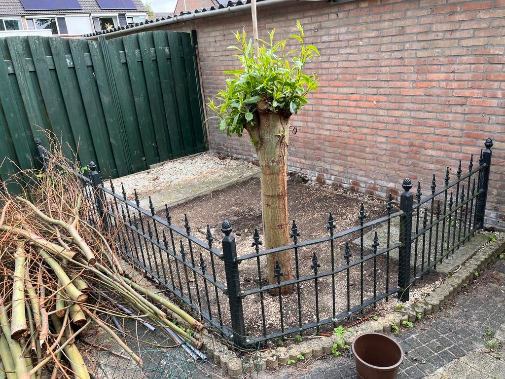 Gietijzeren hekje, Ophalen, Gebruikt, IJzer, Sierhekwerk