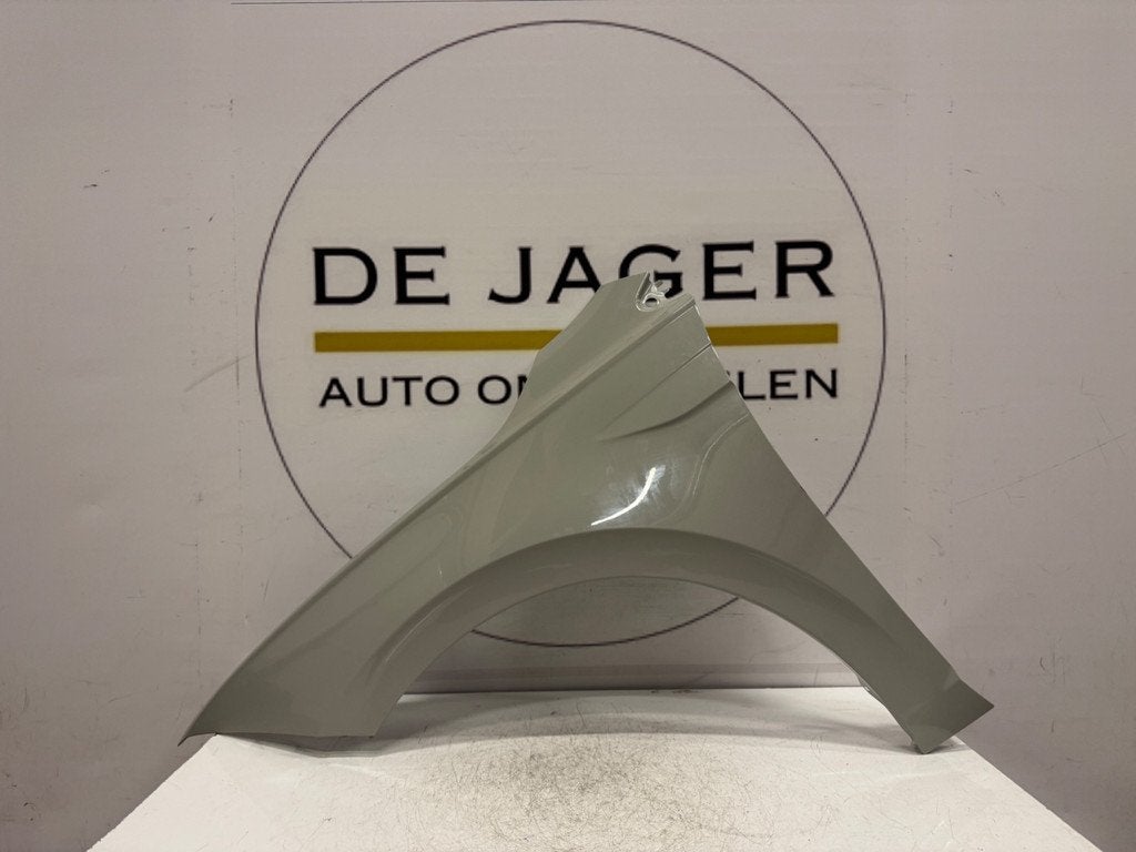 VOLKSWAGEN POLO 2G VOORSCHERM SPATBORD LINKS 2G0821105, Gebruikt, Volkswagen, Volkswagen AG, Voor
