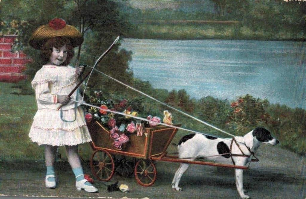 Antieke Ansichtkaart: Meisje met Hond en Kar - HONDEKAR, Ophalen of Verzenden, Voor 1920, Gelopen, Kinderen