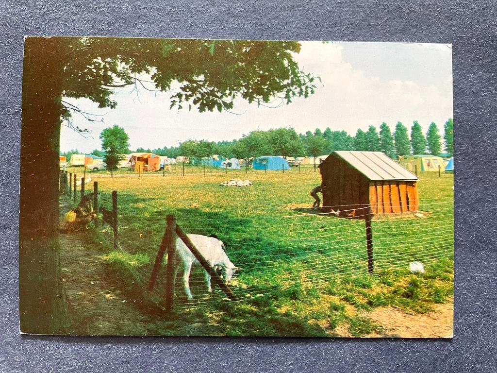 Nuland, zomerdorp Vinkeloord geiten, Ophalen of Verzenden, 1960 tot 1980, Gelopen, Noord-Brabant