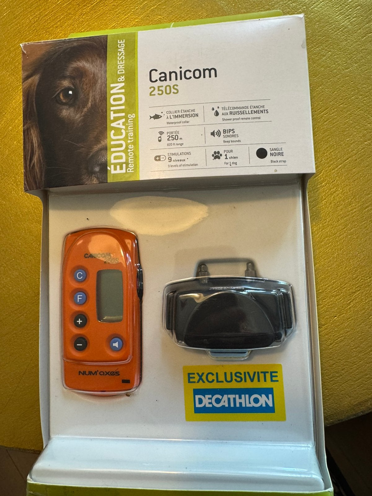 Anti-blaf band hond, Ophalen of Verzenden, Nieuw