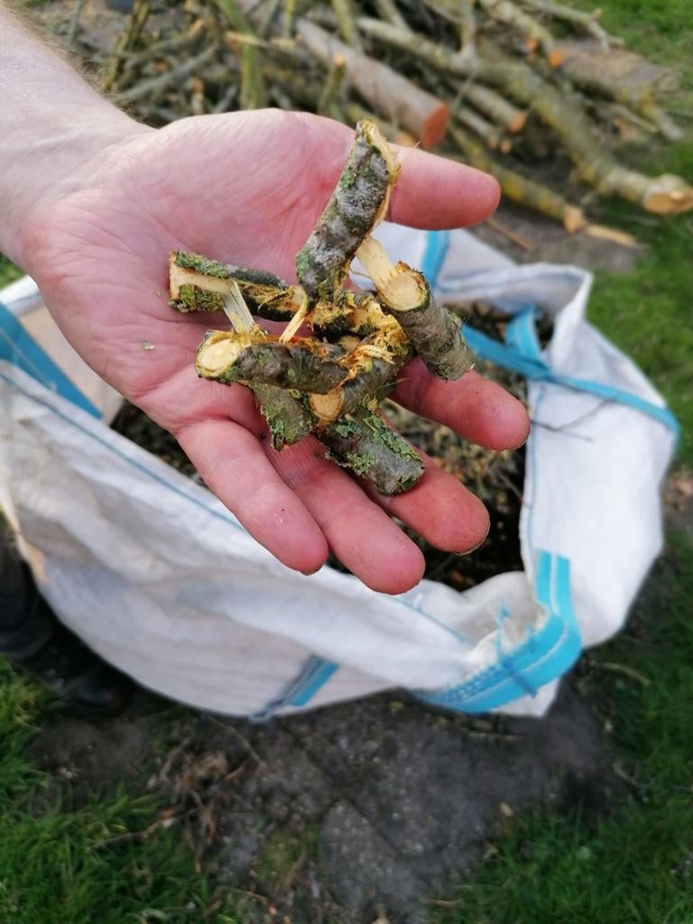 Gehakselde appel takken rookhout, Tuin en Terras, Haardhout, Minder dan 3 m³, Ophalen, Overige houtsoorten, Takken