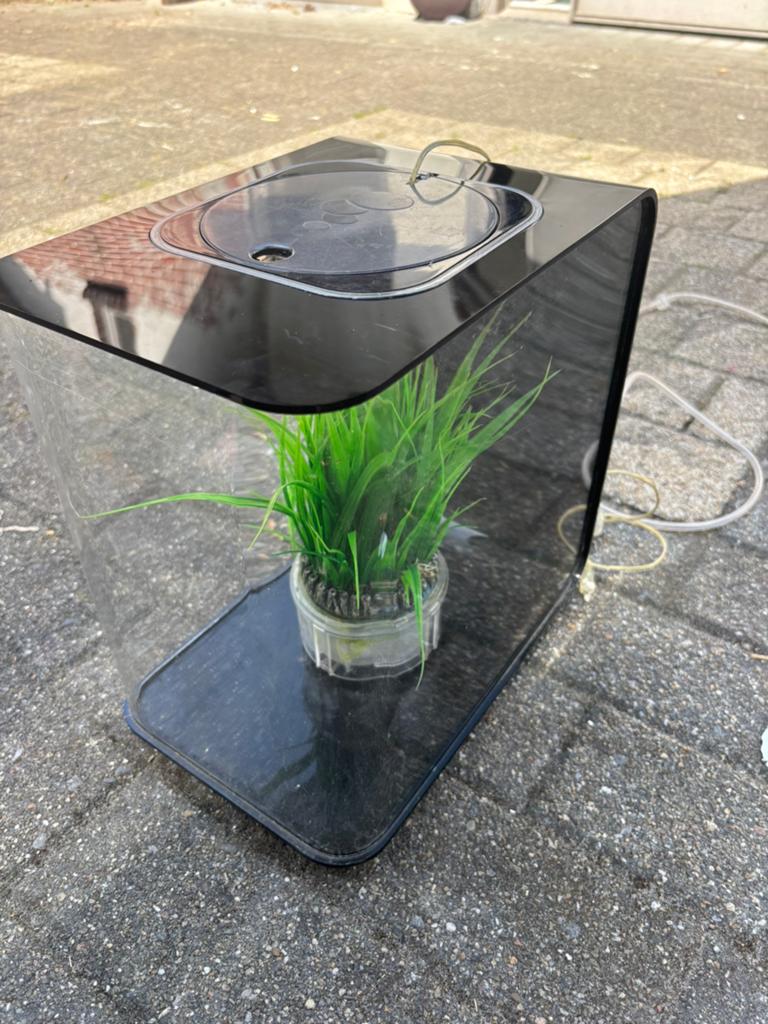 BiOrb FLOW 30 MCR, Ophalen, Inclusief deksel, Zo goed als nieuw, Leeg aquarium