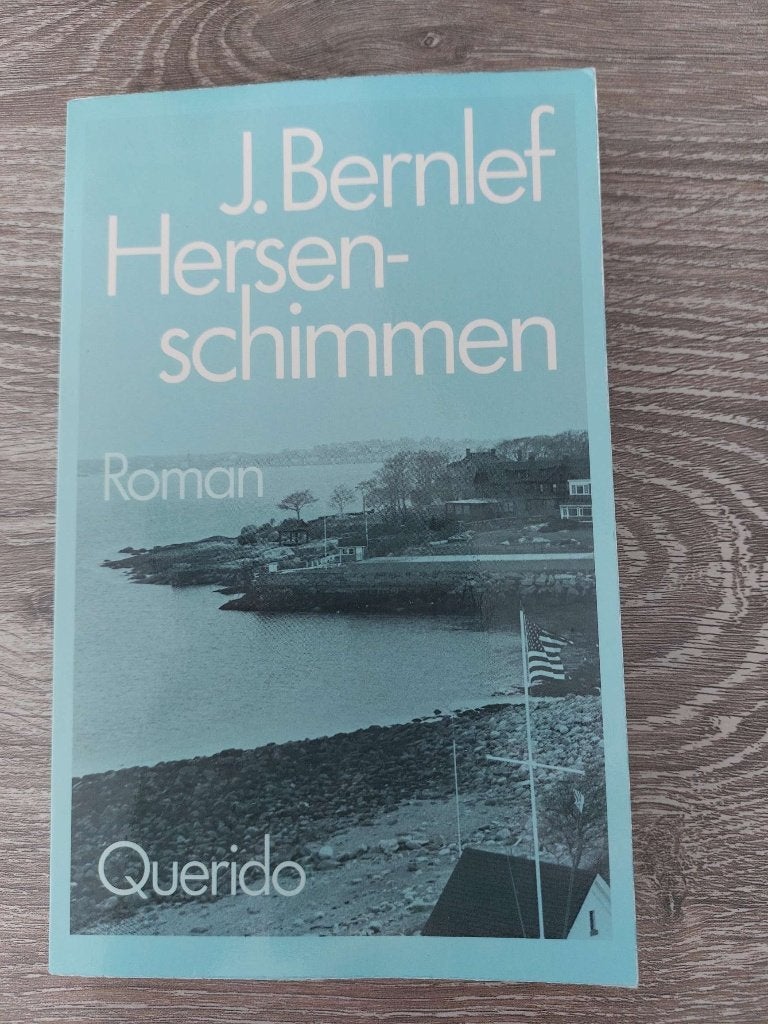 J. Bernlef - Hersenschimmen, Ophalen of Verzenden, Zo goed als nieuw, J. Bernlef