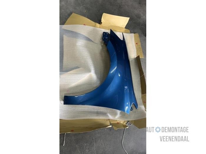 Scherm links-voor van een Volkswagen Polo (LD5L), -, Volkswagen, -, Nieuw