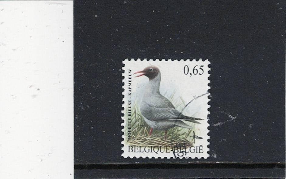 vogel Belgie, Ophalen of Verzenden, Gestempeld, Dier of Natuur