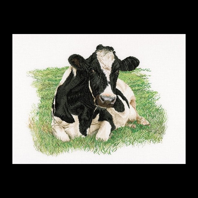 Borduurpakket Koe vooraanzicht 451, ., Nieuw, Ophalen of Verzenden, .