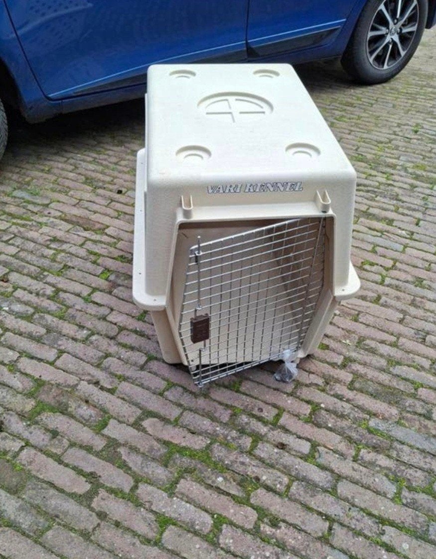 Vari Kennel reisbox/ bench goedgekeurd voor vliegtuig, Ophalen