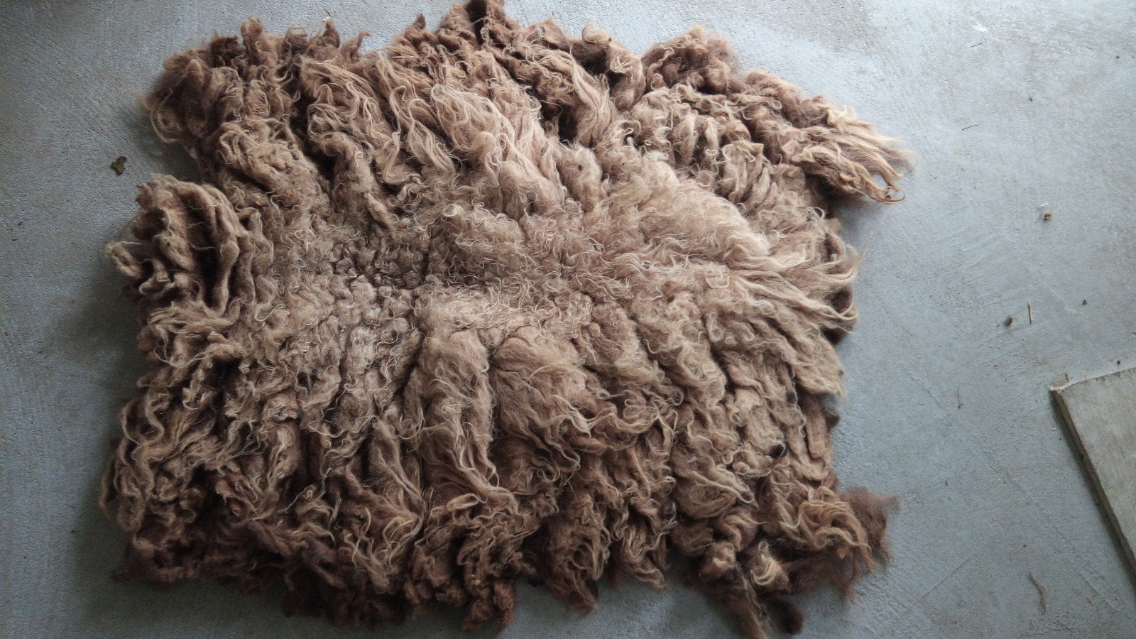 Bruine schapenwol met blonde plukken 90x80 cm, Ophalen of Verzenden, Spinwol