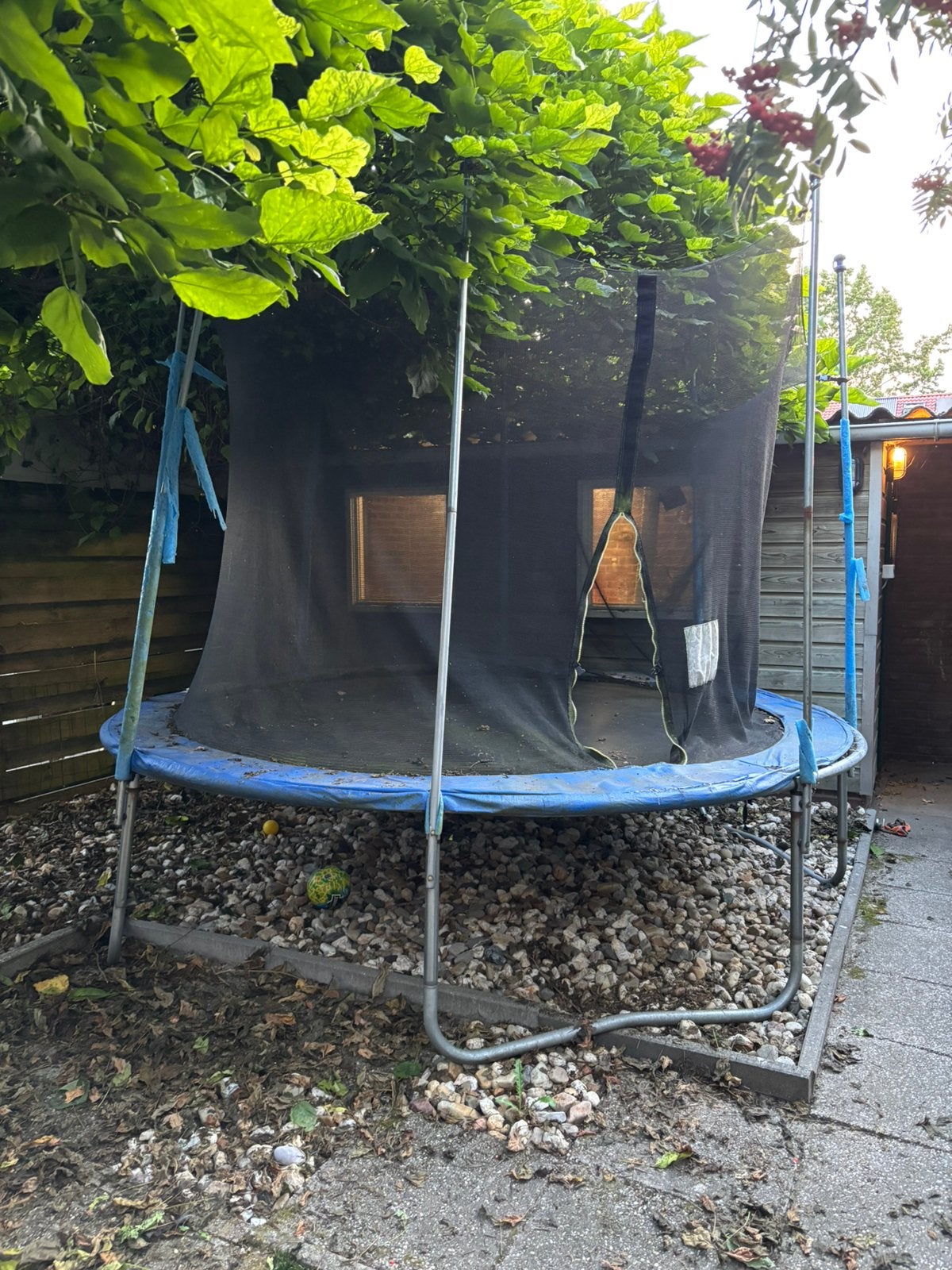 Gratis af te halen trampoline 300cm, Ophalen, Gebruikt