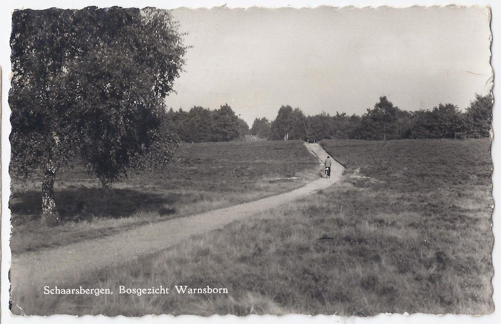 Schaarsbergen Warnsborn - oude gelopen ansichtkaart - B1074, Ophalen of Verzenden, 1960 tot 1980, Gelopen