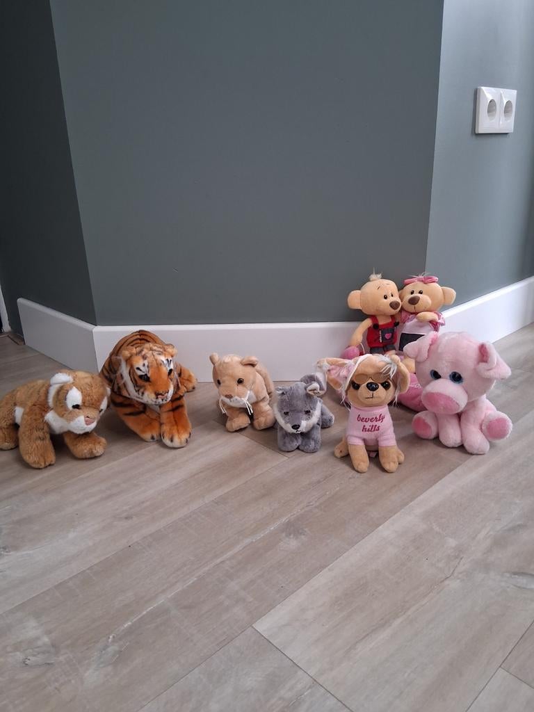 Diverse knuffels, oa tijgers biggetje en leeuwtje, Ophalen of Verzenden, Gebruikt, Overige typen