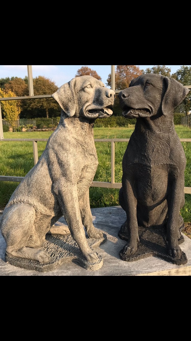 ‼️Labrador Golden Retriever 80cm 90kg Levensgroot Labbi hond, Ophalen of Verzenden, Nieuw, Beton, Dierenbeeld