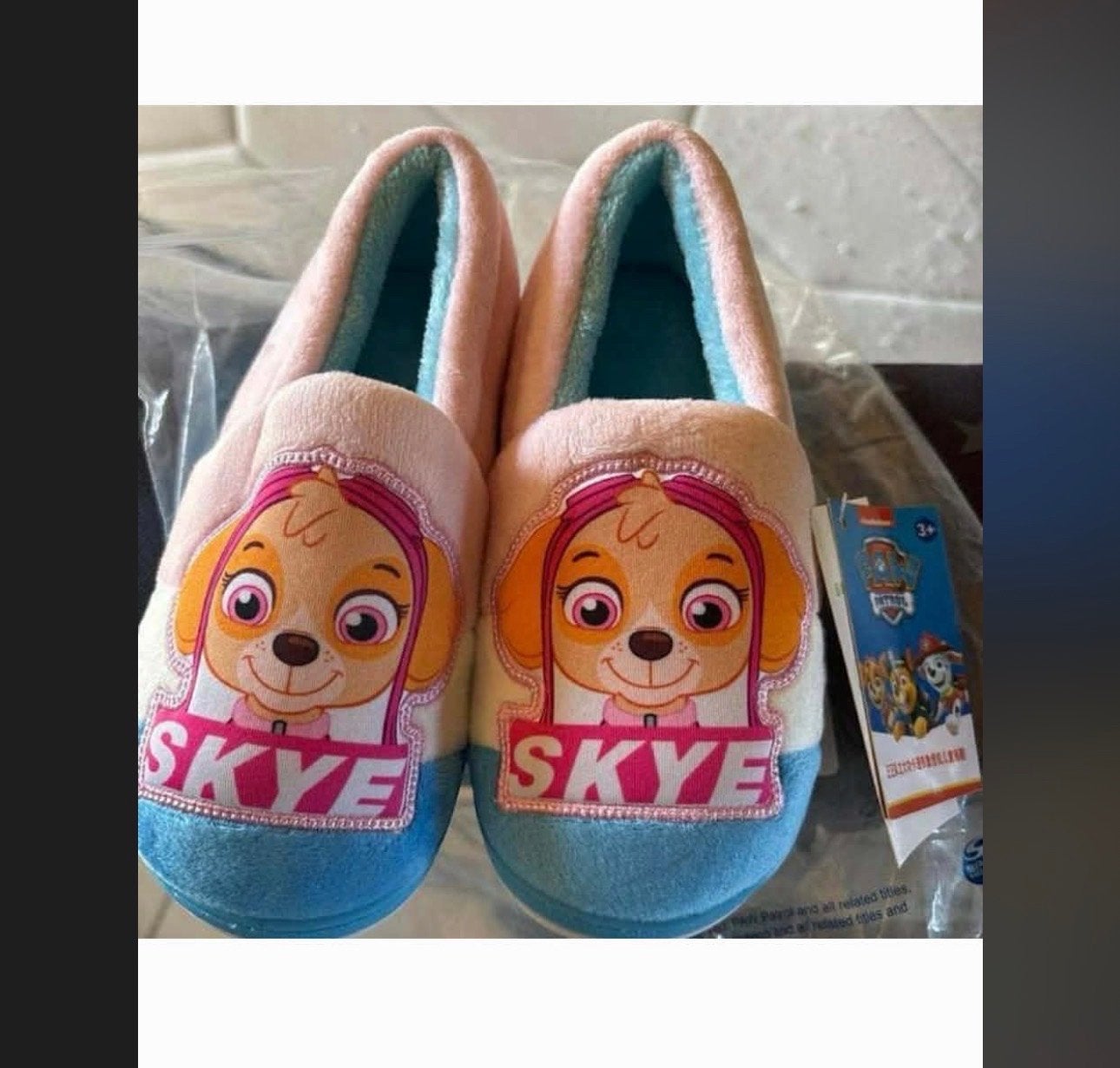 Restpartij Paw Patrol pantoffels - 2 dozijn, diverse maten, Ophalen of Verzenden, Nieuw, Jongen of Meisje, Overige typen