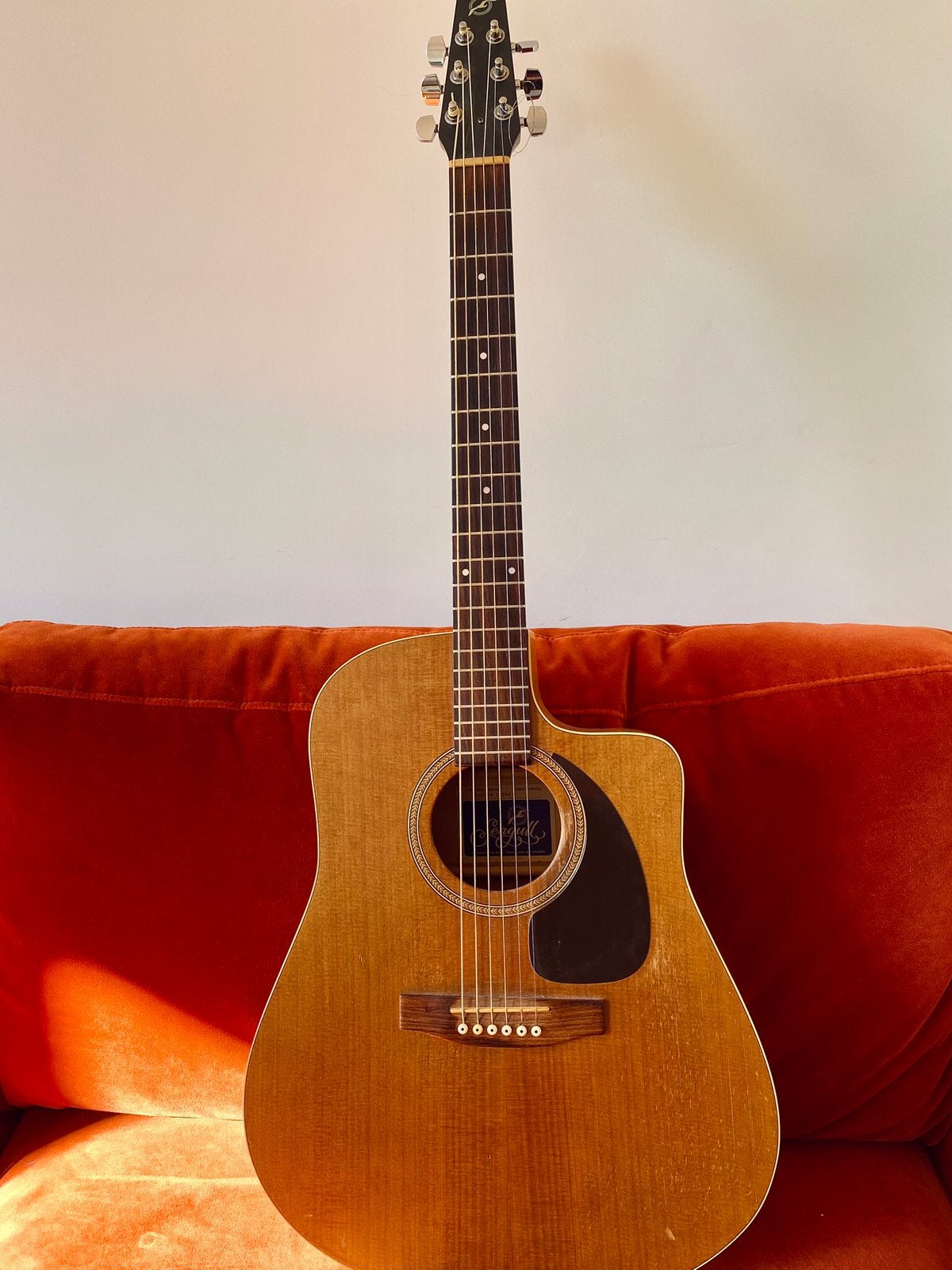 Seagull Plus CW Cedar 1998 – Canadese dreadnought, Muziek en Instrumenten, Snaarinstrumenten | Gitaren | Akoestisch, Ophalen, Gebruikt