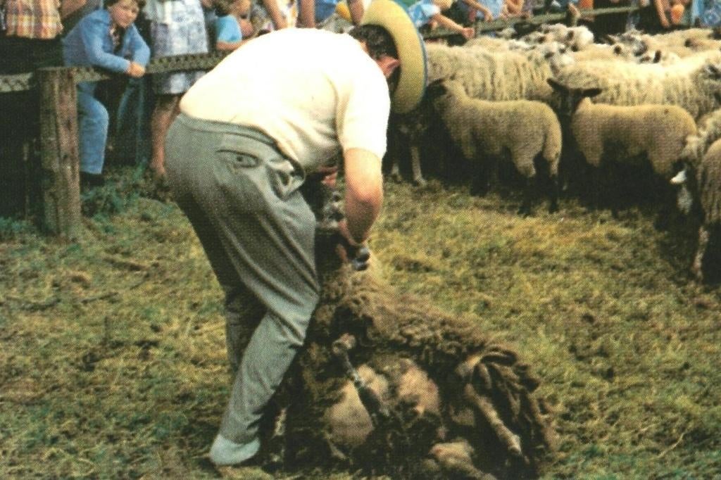 802022 Elspeet Gld 1976 Gelopen met postzegel, Ophalen of Verzenden, 1960 tot 1980, Gelopen, Gelderland