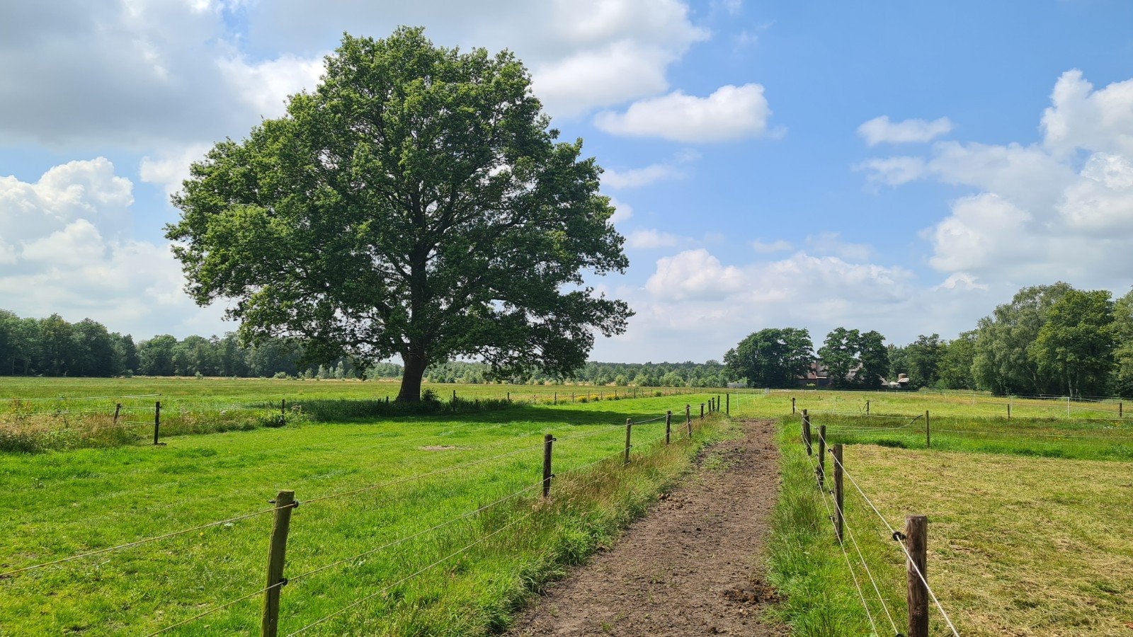 Opfokplek voor hengst, Opfok