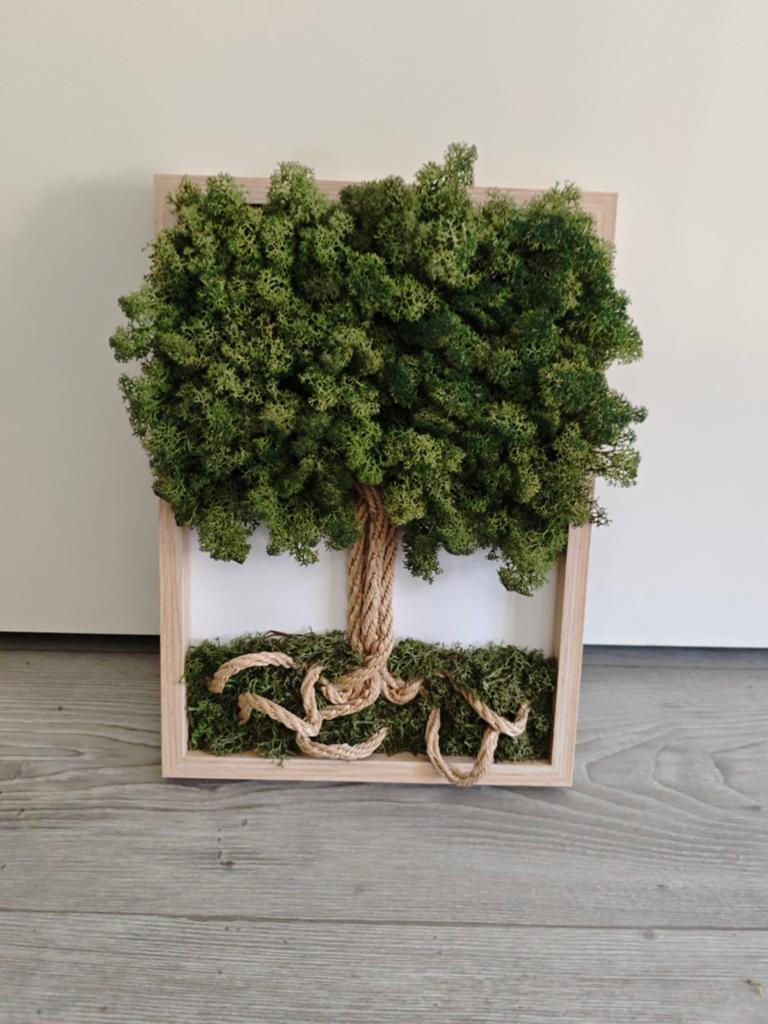 Uniek Mos Schilderij - Boom van Touw en Mos 17cmx21cm, Ingelijst, Nieuw, Ophalen of Verzenden, Natuurlijk materiaal