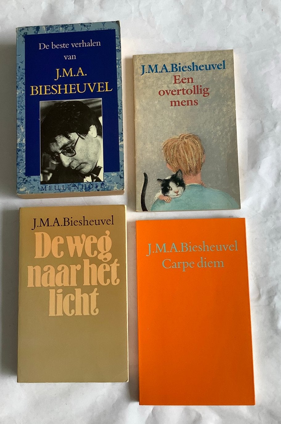 MAARTEN BIESHEUVEL - 4 titels, Ophalen of Verzenden, Zo goed als nieuw