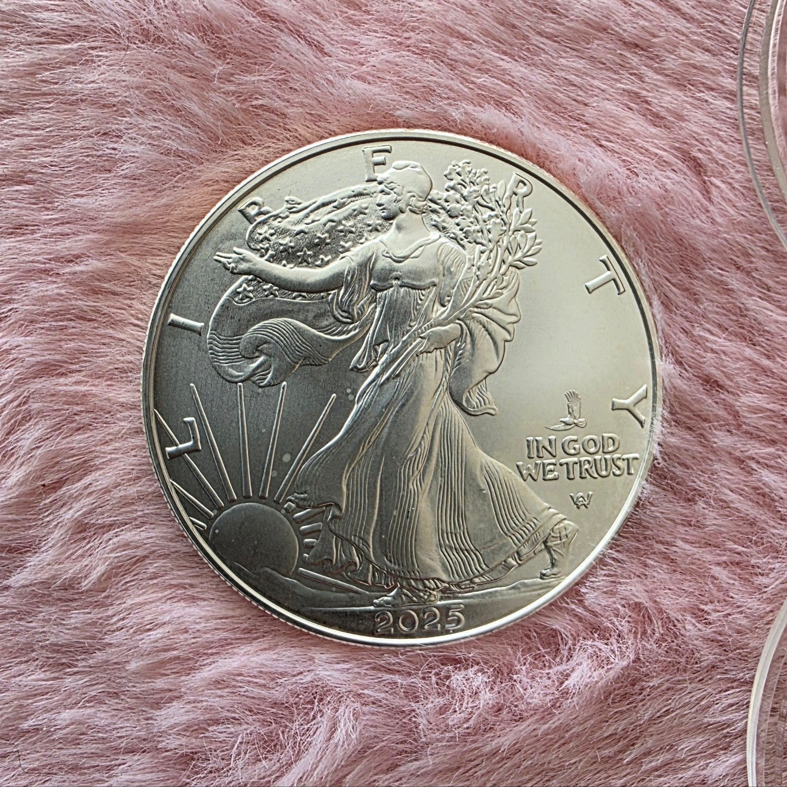 Silver Eagle 2025 Eagle Privy 1 oz zilver | In capsule, Postzegels en Munten, Munten | Amerika, Ophalen of Verzenden, Noord-Amerika