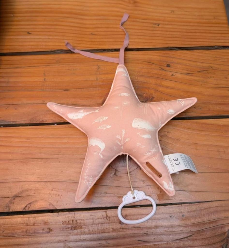 Little Dutch Ocean Pink muziek ster en mandje, Ophalen