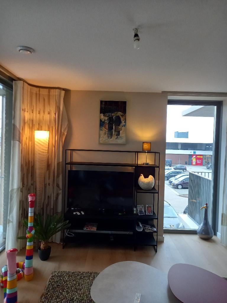 vloerlamp, Huis en Inrichting, Lampen | Vloerlampen, Ophalen, Kunststof, Design, Zo goed als nieuw