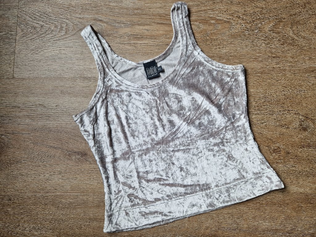 Velours, zilveren / grijze top van Didi ZGAN Maat 36, Kleding | Dames, Didi, Ophalen of Verzenden, Zo goed als nieuw, Grijs