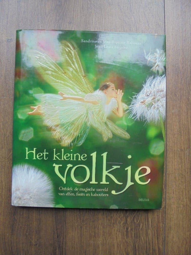 Het Kleine Volkje feeen en kabouters, Boeken, Ophalen of Verzenden, Zo goed als nieuw, Sandrine en Jean-Baptiste Rabouan