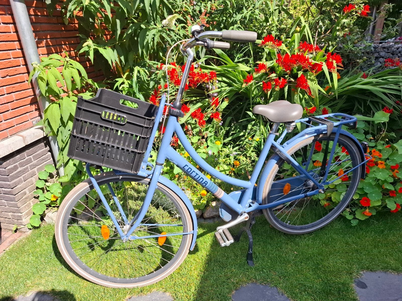 Cortina fiets met krat, Terugtraprem, Gebruikt, Versnellingen, 50 tot 53 cm